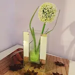 Luna 브로츠와프