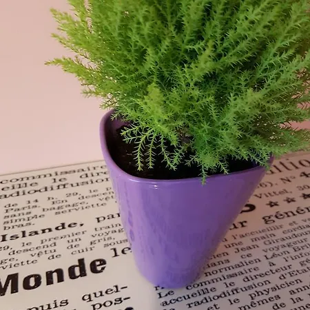 Luna Apartamento *